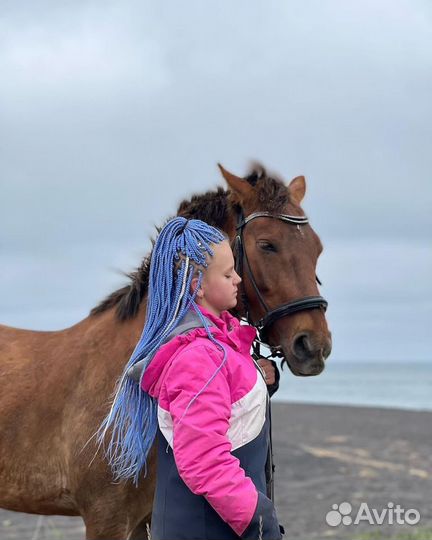 Афрокосички, Дреды, зизи, Брейды, Французские косы