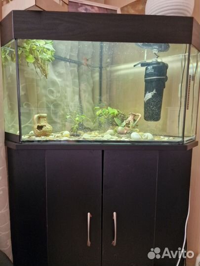 Аквариум с рыбками и пр