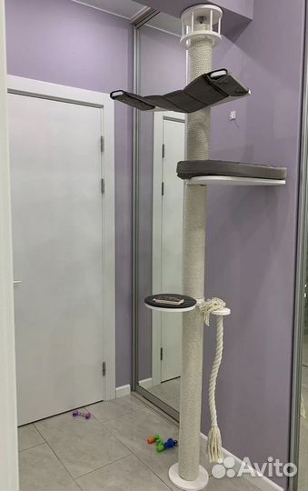 Когтеточка с упором в потолок