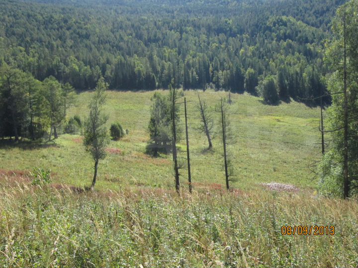 Участок 9,14 га (СНТ, ДНП)