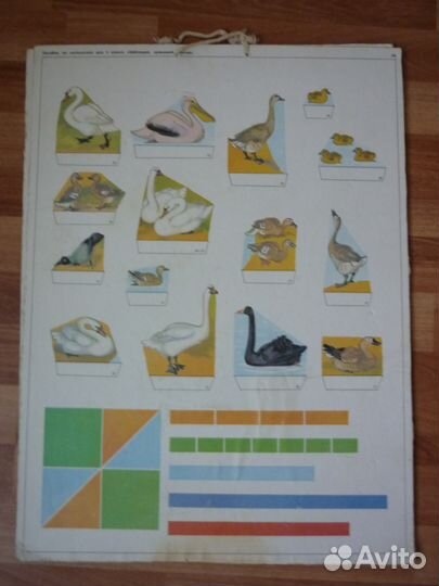 Учебные плакаты и пособия по математике