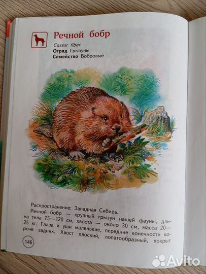 Красная книга животные России