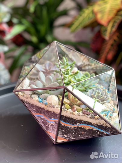 Флорариум «Марс» средний