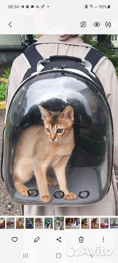 Переноска -рюкзак для кошек