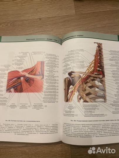 Медицинские книги, атласы