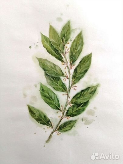 Ботанические картины