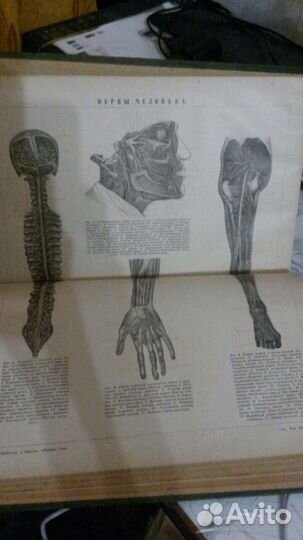 Энциклопедический словарь