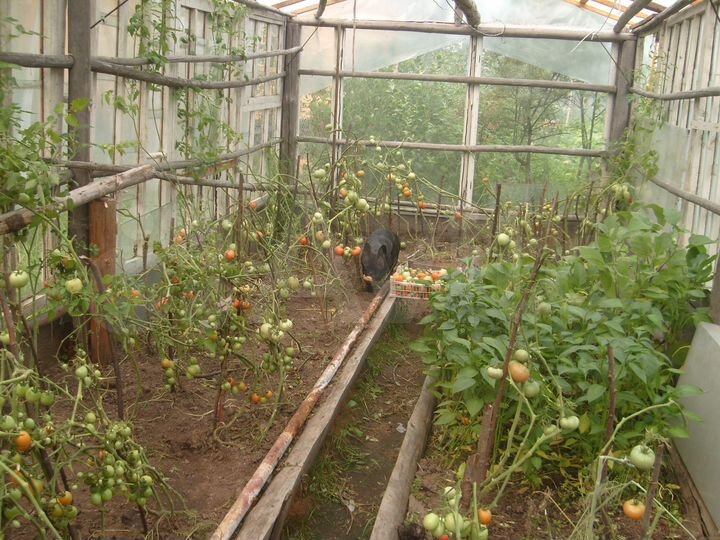 Дача 48 м² на участке 7 сот.