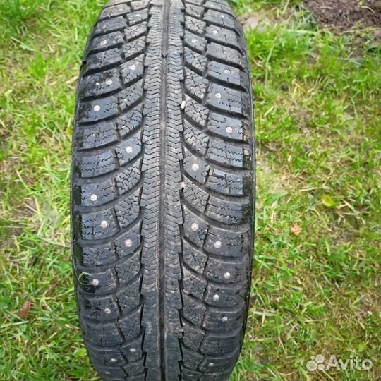 Gislaved Nord Frost 5 175/60 R15 88
