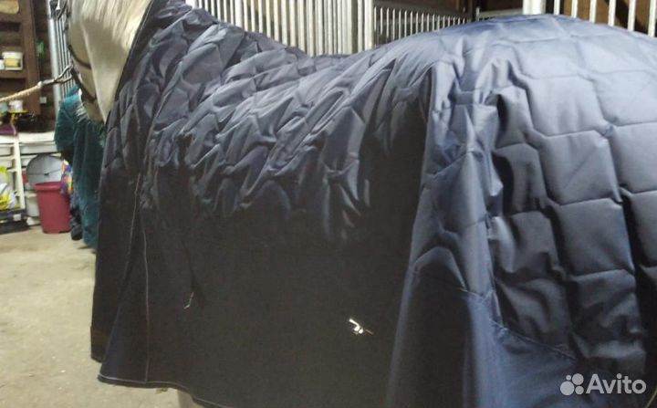 Попона для лошади 155