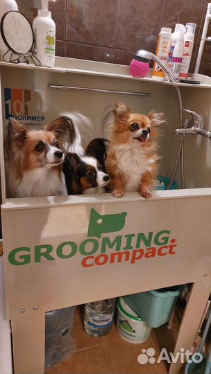 Услуги грумера. Гигиена животных