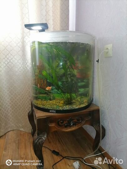 Аквариум
