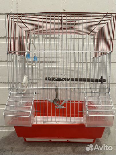 Клетка для попугая