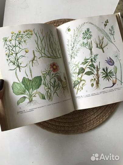 Книга лекарственные растения, рецепты