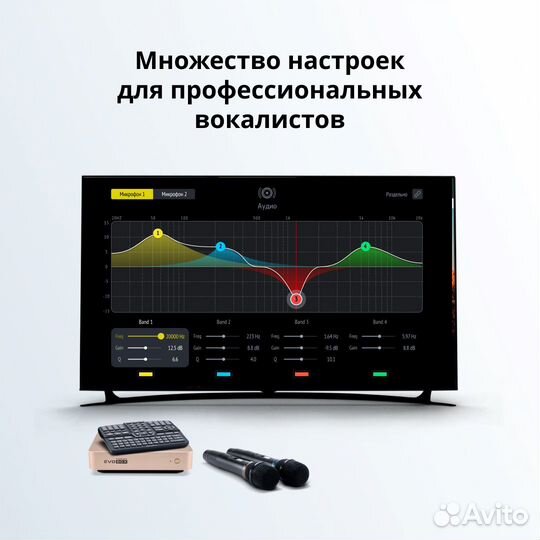 Караоке система для дома Evolution Evobox Gold