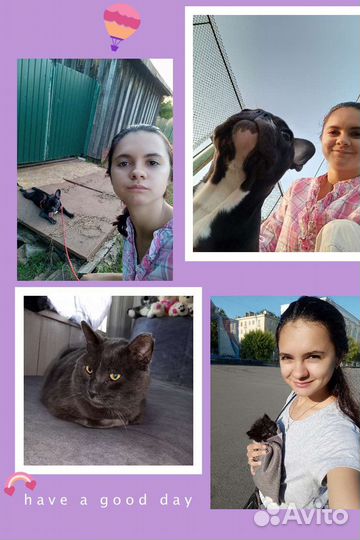 Уход за животными, передержка