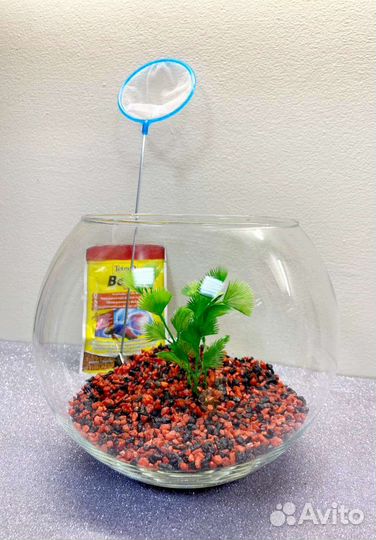 Аквариум + рыбка Петушок