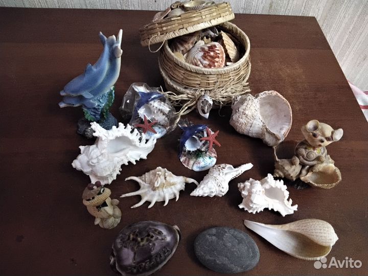 Набор и ракушки для аквариума
