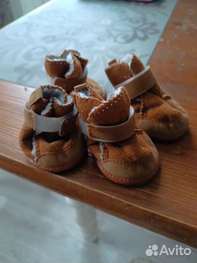 Сапожки для собак
