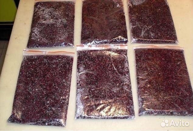 Корм для рыбок Tetra/Мотыль замороженный