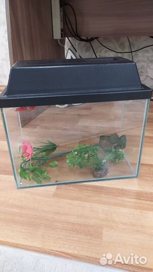 Аквариум