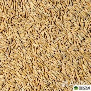 Продам ячмень,овёс