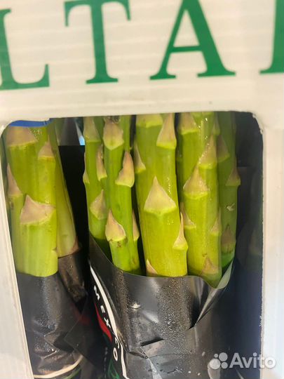 Спаржа свежая