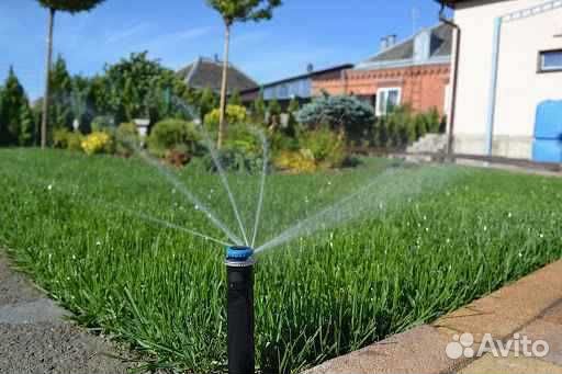 Рулонный газон /продажа/укладка