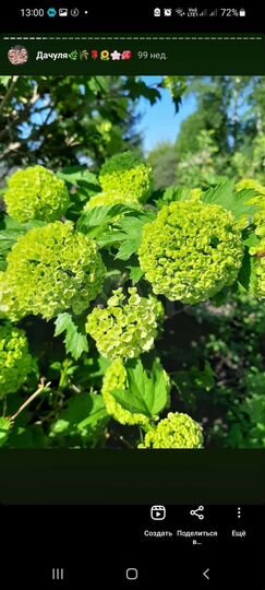 Дом 15 м² на участке 6 сот.