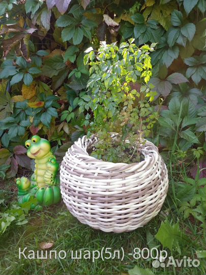 Кашпо горшок для цветов