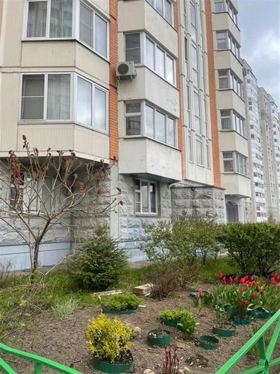 3-к. квартира, 74,1 м², 3/17 эт.