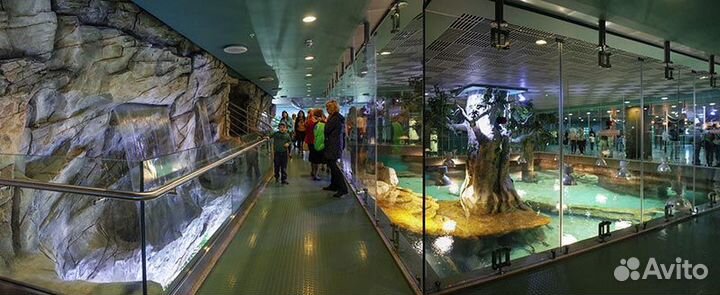 Промокод Билет москвариум