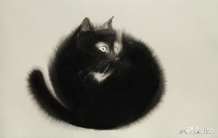 Отдам котят