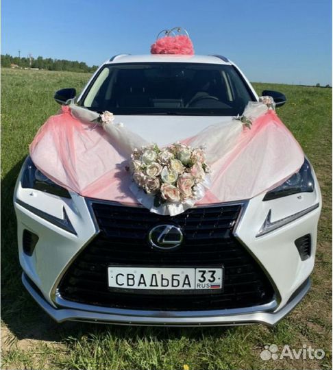 Автобус, машина на свадьбу, трансфер любой