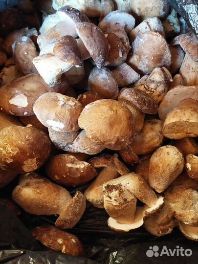 Белый гриб(замороженый)