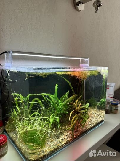 Аквариум 36 литров