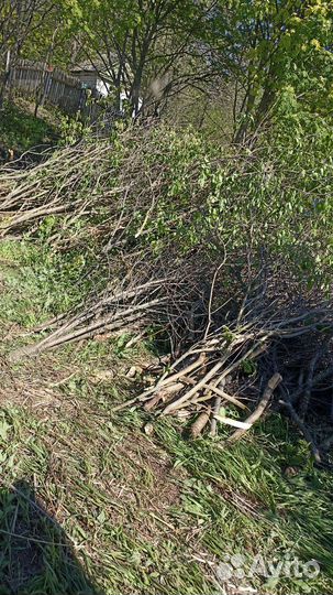 Измельчитель веток дробилка расчистка участков