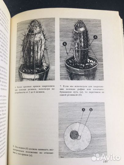 Книга о кактусах Колючее чудо, 1981