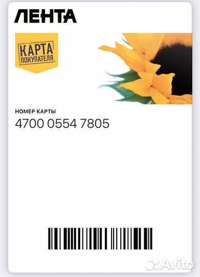 Карта Ленты