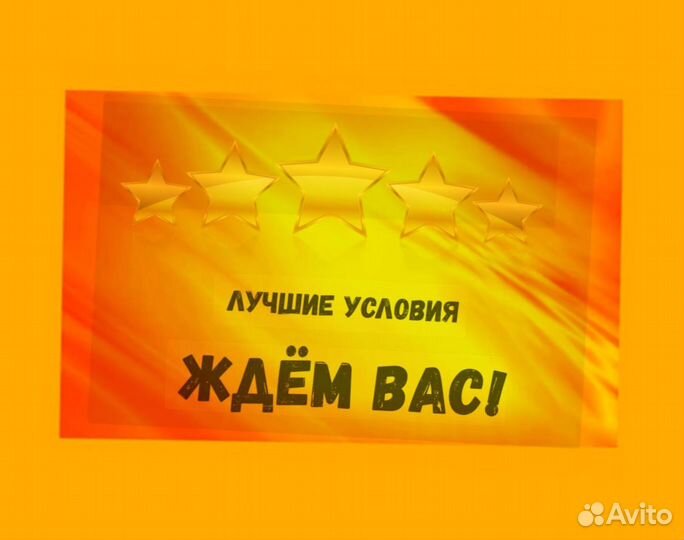 Сортировщик Еженедельный аванс Спецодежда М/Ж