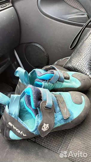 Скальные туфли elov