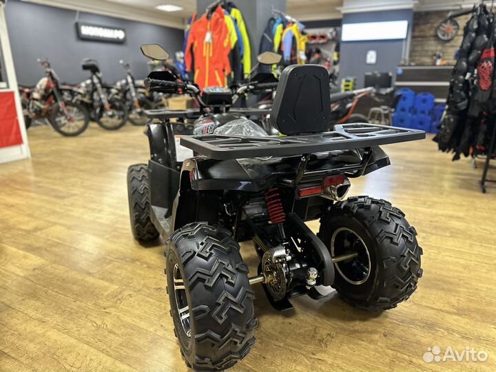 Квадроцикл Avantis Hunter 200 New Premiu в наличии