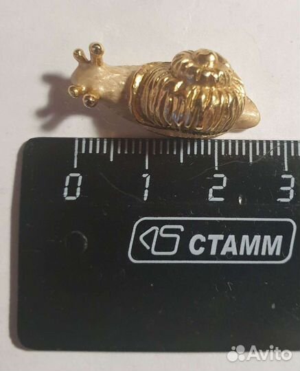 Улитка позолоченная