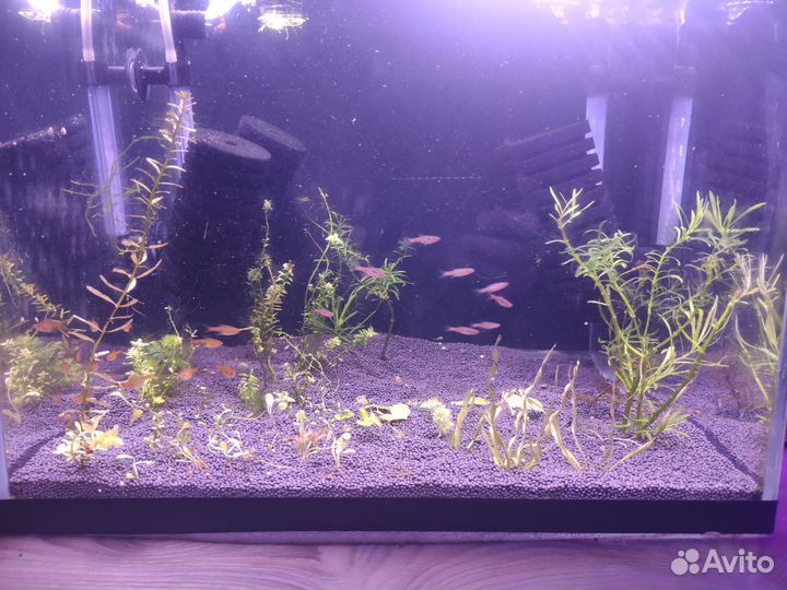 Аквариум