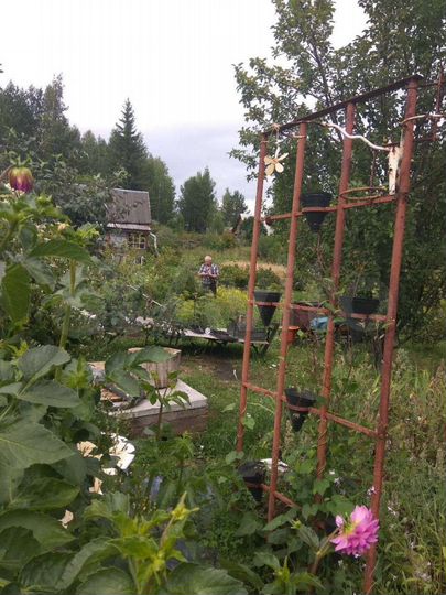 Дача 36 м² на участке 9 сот.