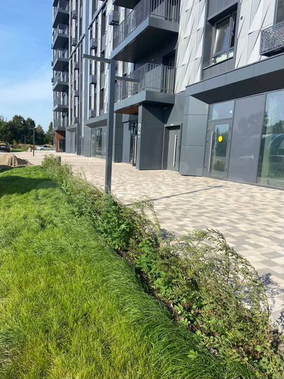 1-к. квартира, 27,7 м², 9/19 эт.