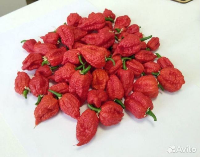 Мега острый соус из перца Каролина Рипер