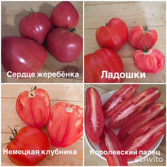 Семена коллекционных томатов