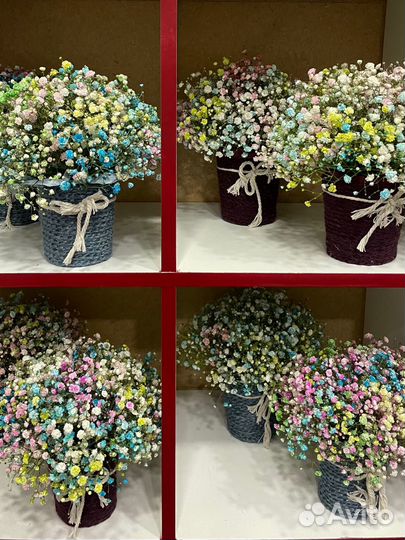 Гипсофила живые цветы подарок композиции