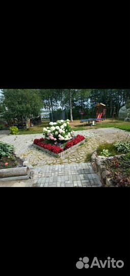 Отдых семьёй в Карелии на берегу Сямозера